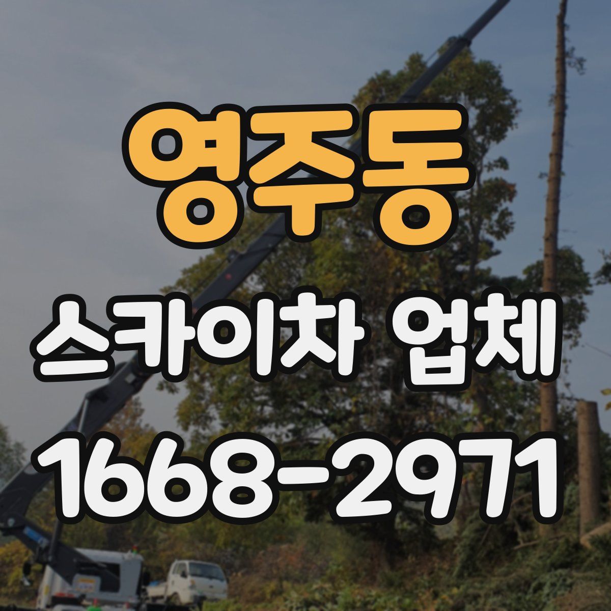 영주동 스카이차 업체