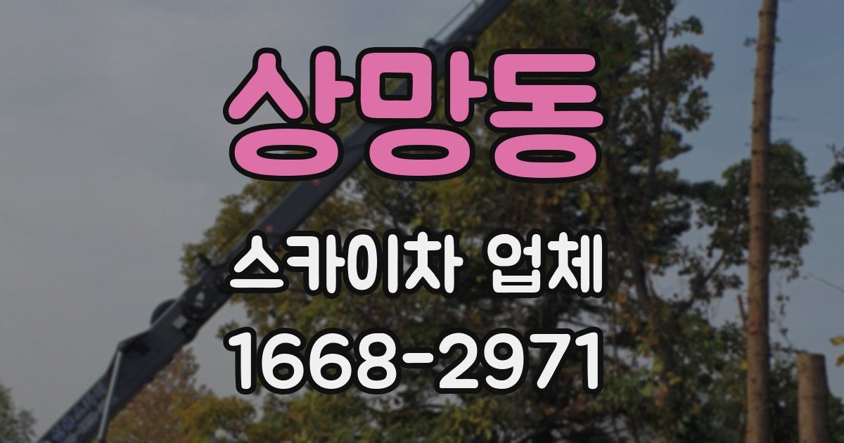 상망동 스카이차 업체