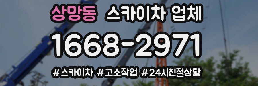 상망동 스카이차 업체
