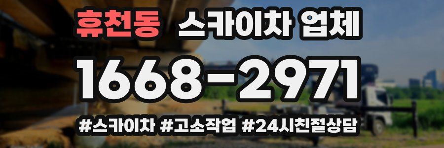 휴천동 스카이차 업체