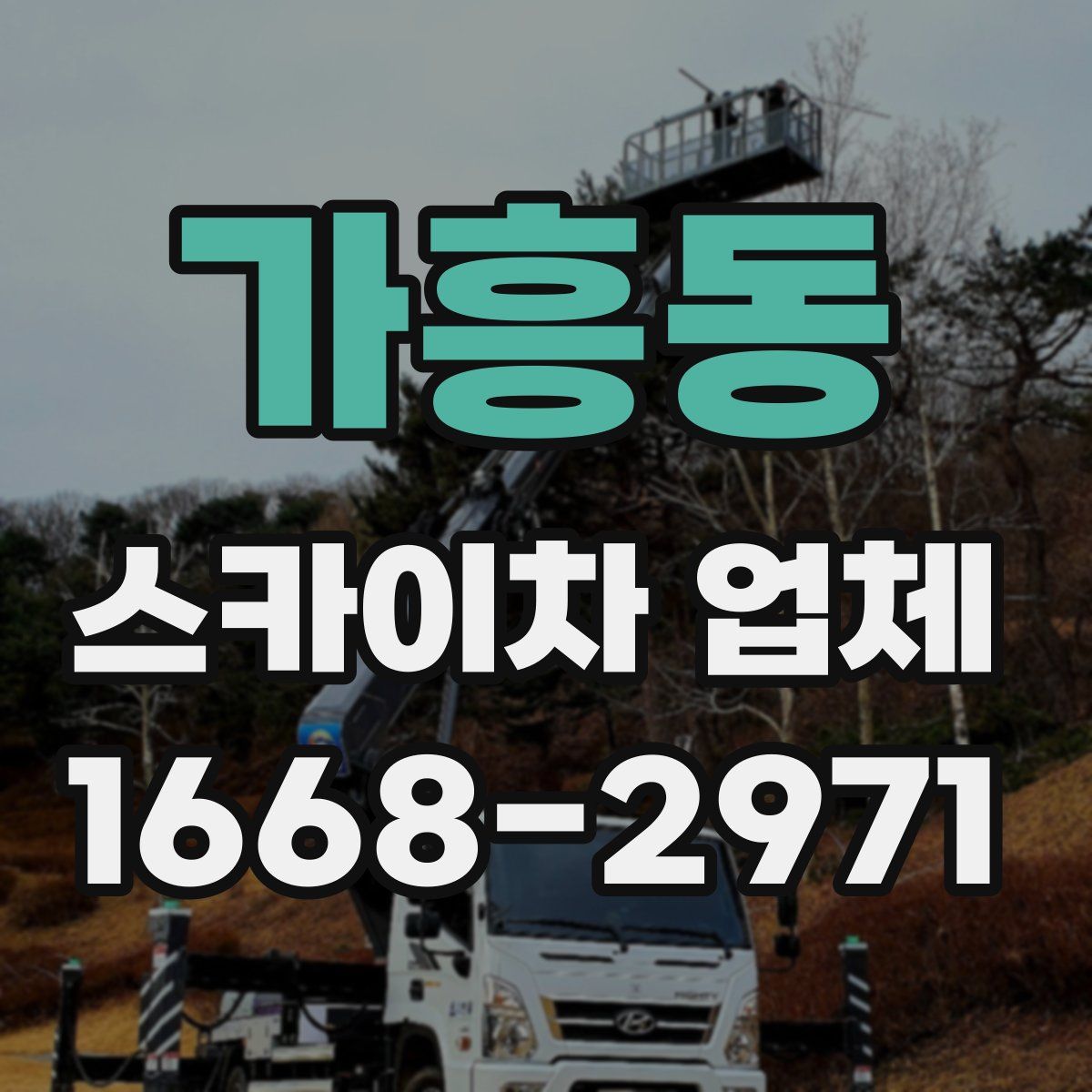 가흥동 스카이차 업체