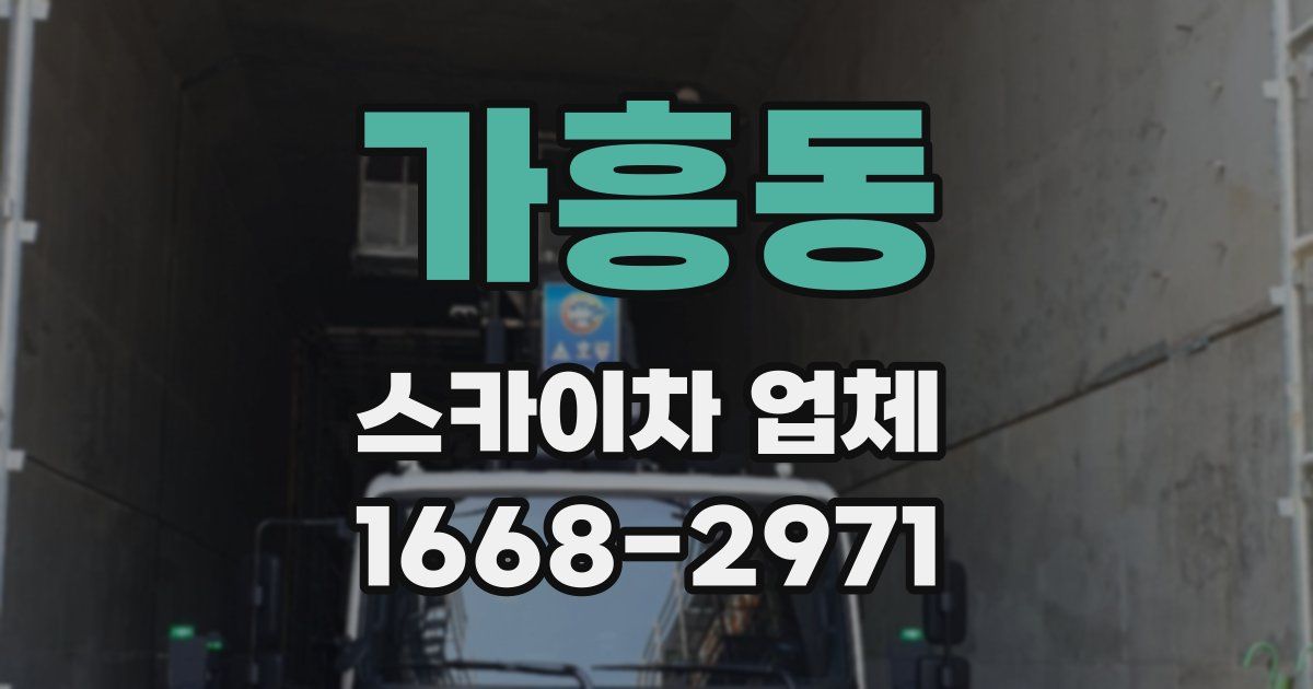가흥동 스카이차 업체