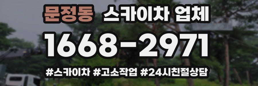 문정동 스카이차 업체