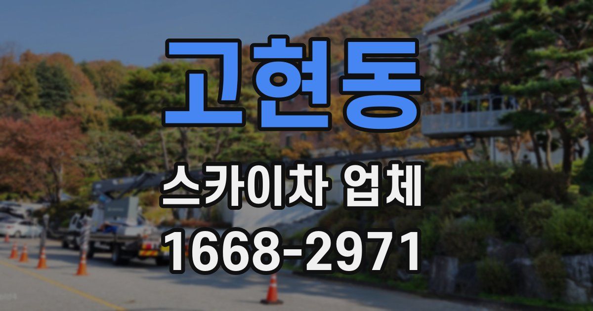 고현동 스카이차 업체