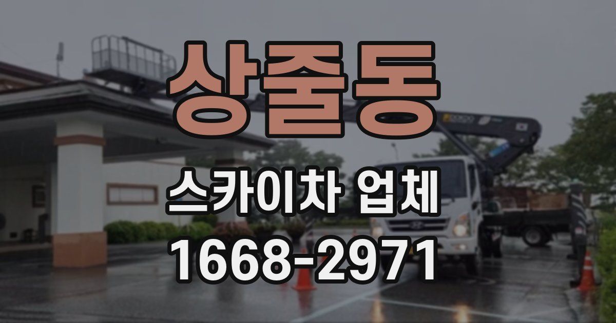 상줄동 스카이차 업체