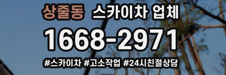 상줄동 스카이차 업체
