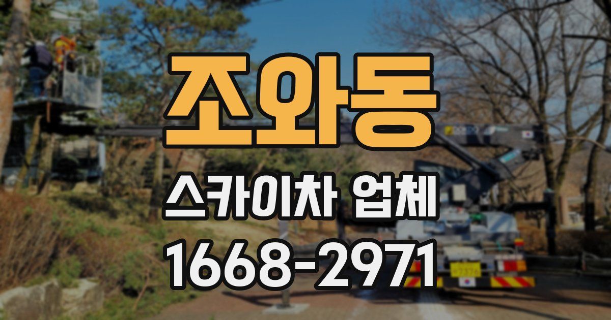 조와동 스카이차 업체