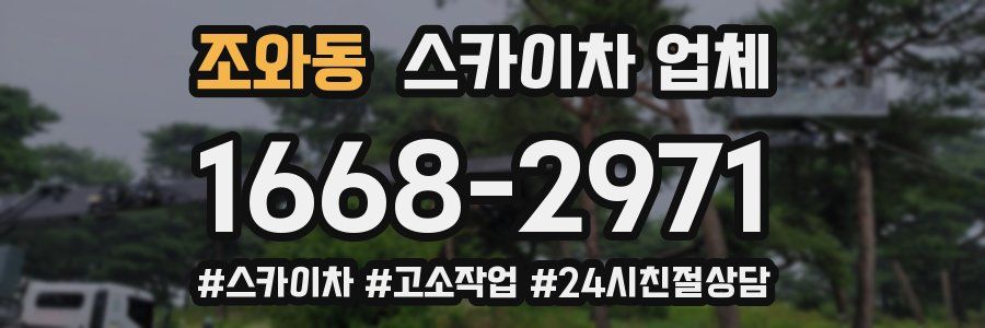 조와동 스카이차 업체