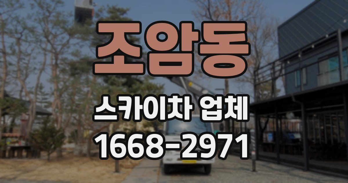 조암동 스카이차 업체