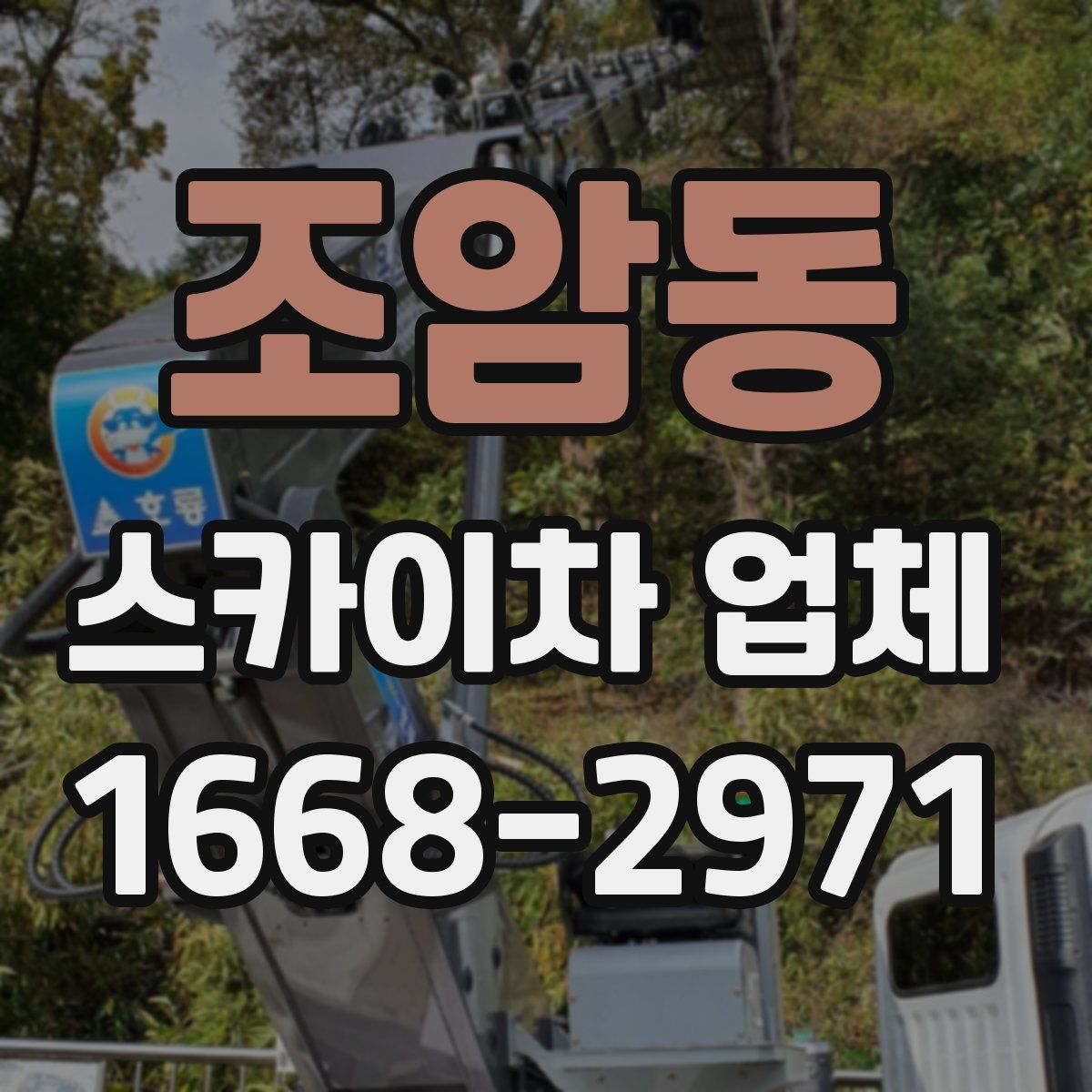 조암동 스카이차 업체