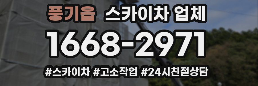 풍기읍 스카이차 업체