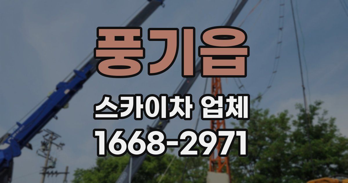 풍기읍 스카이차 업체
