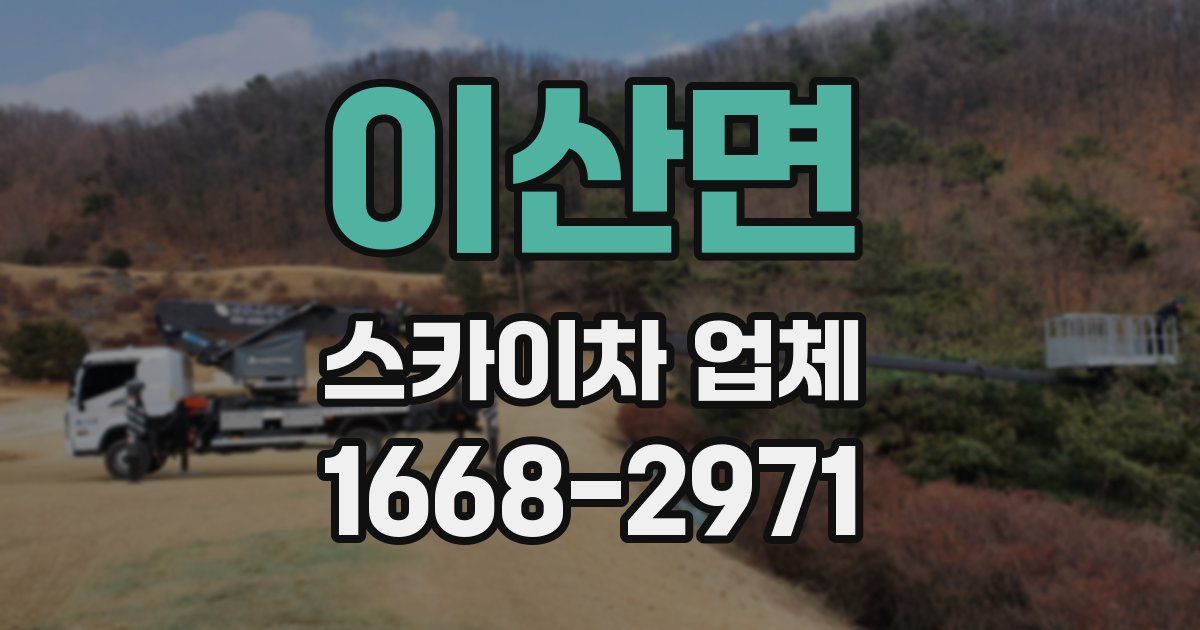 이산면 스카이차 업체