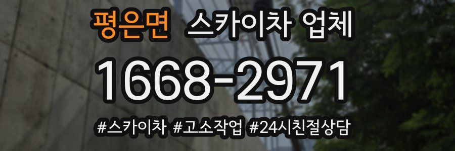 평은면 스카이차 업체