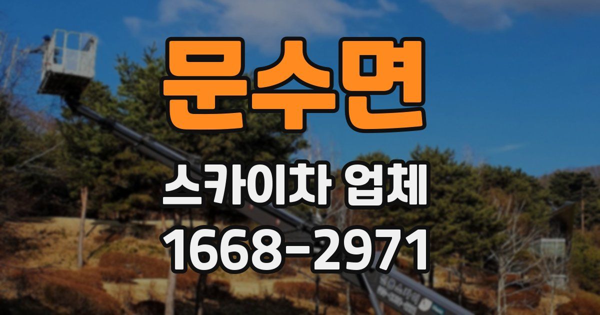 문수면 스카이차 업체