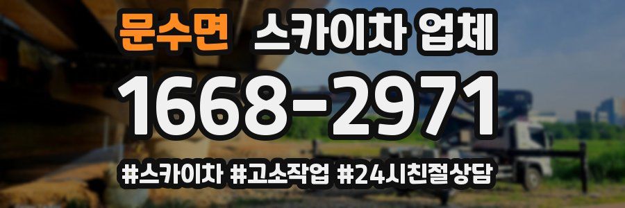 문수면 스카이차 업체