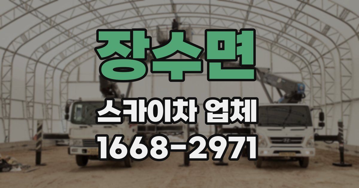 장수면 스카이차 업체