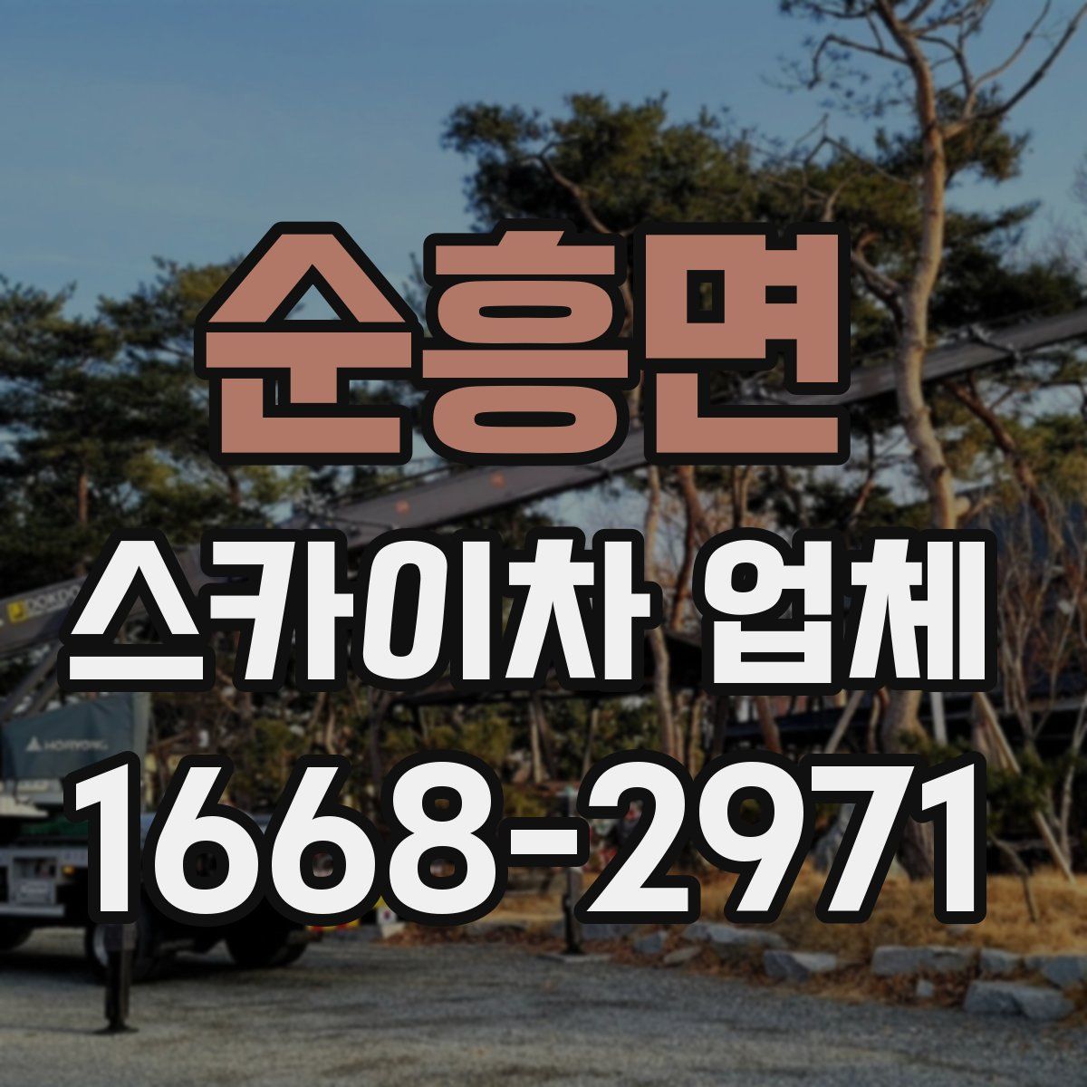 순흥면 스카이차 업체