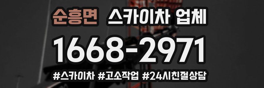 순흥면 스카이차 업체