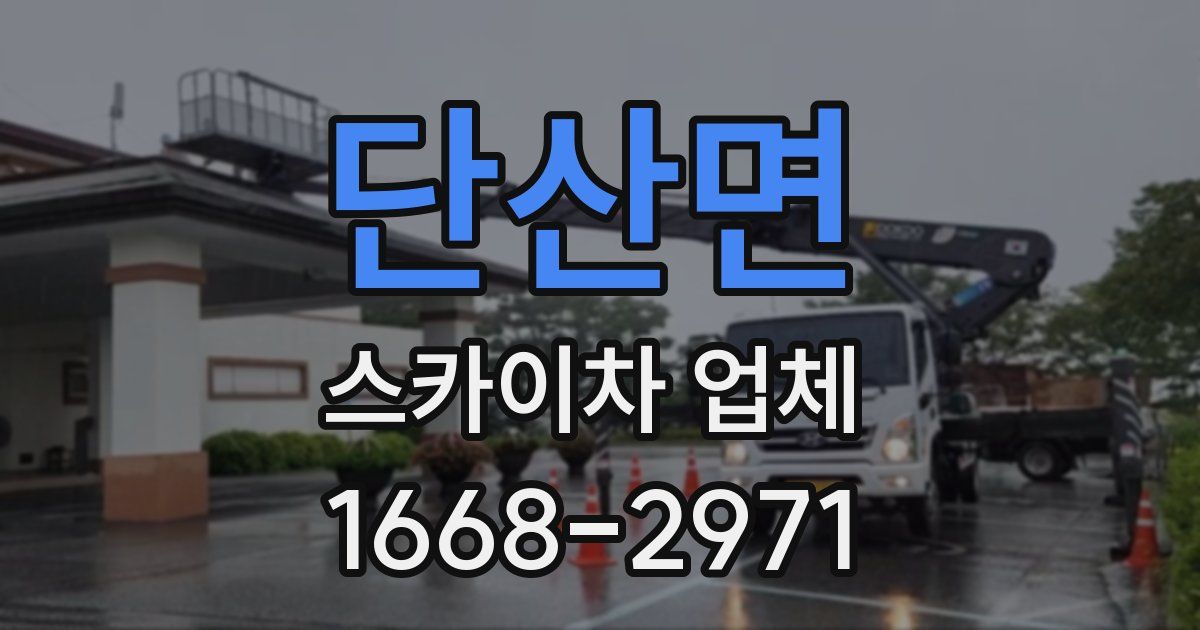 단산면 스카이차 업체