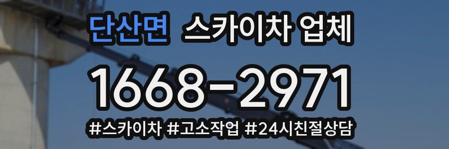 단산면 스카이차 업체