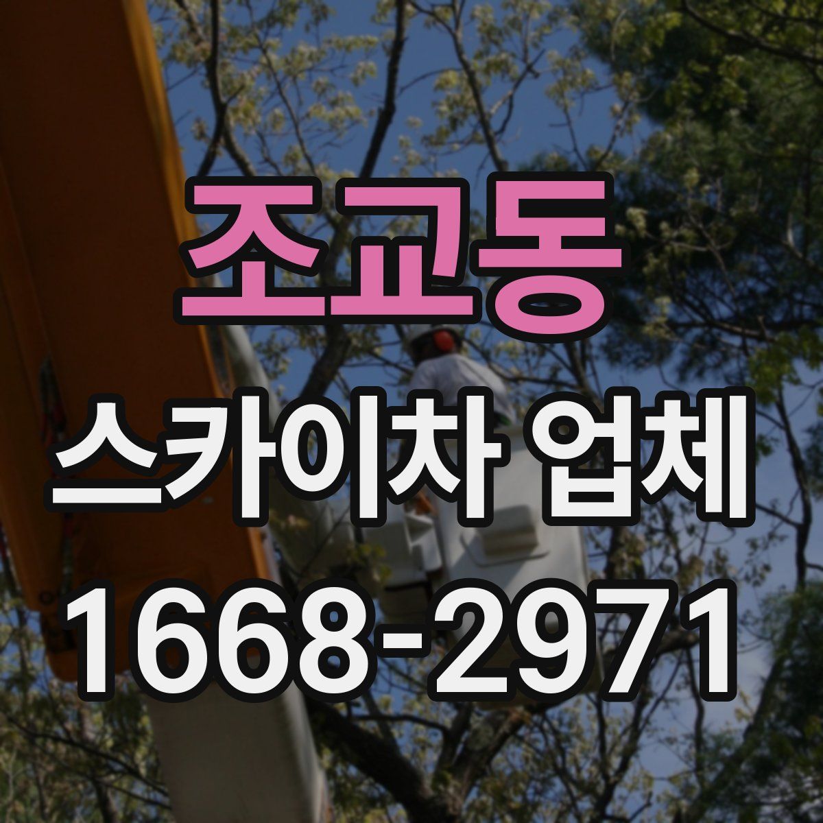 조교동 스카이차 업체