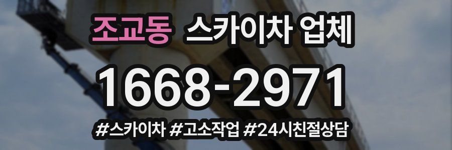 조교동 스카이차 업체