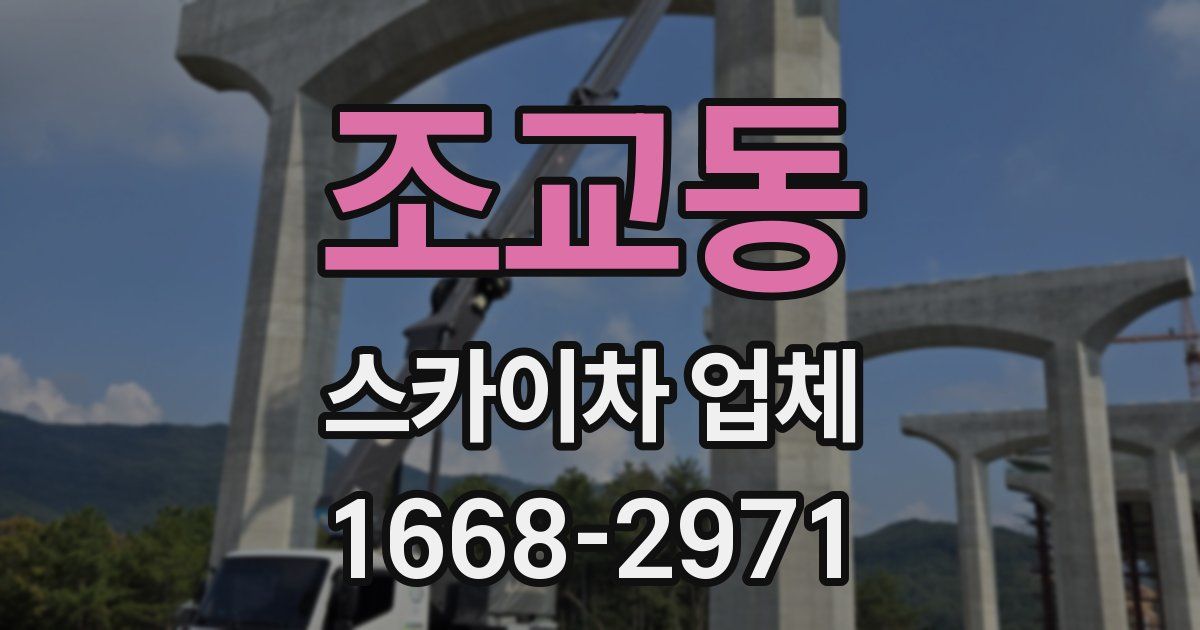 조교동 스카이차 업체