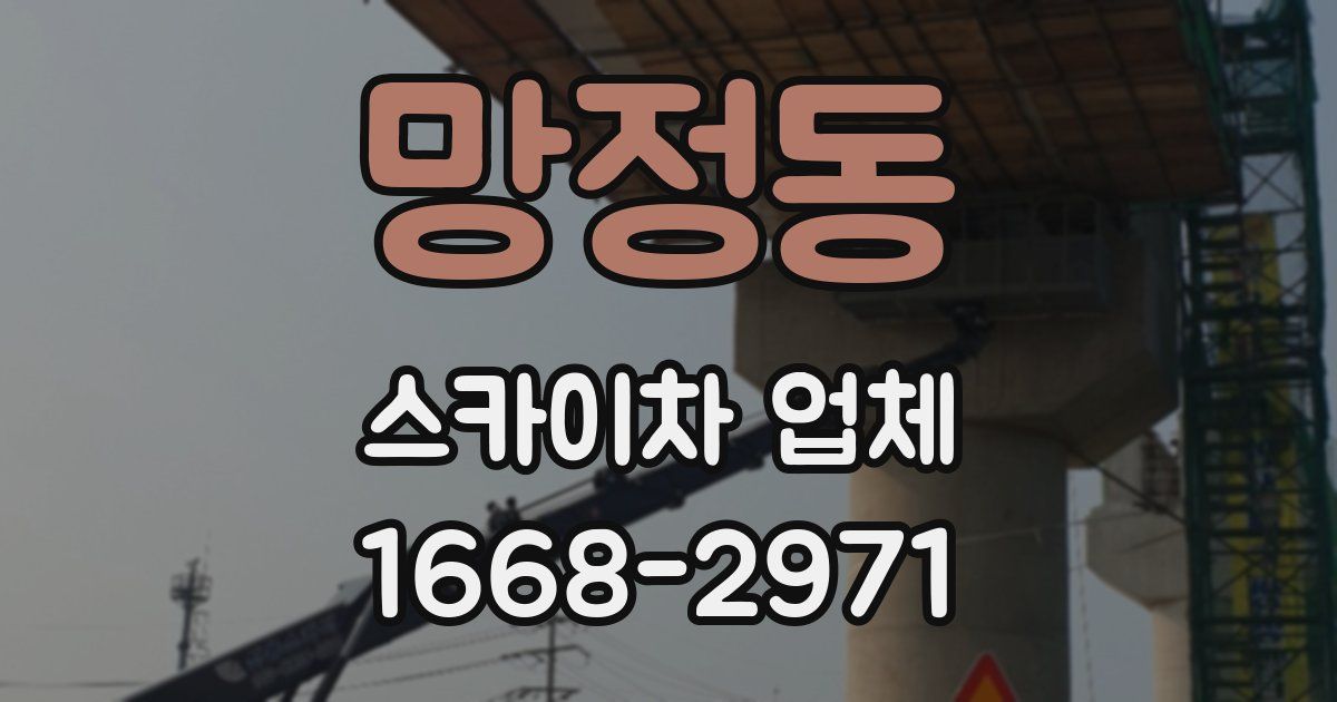 망정동 스카이차 업체