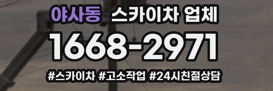 야사동 스카이차 업체