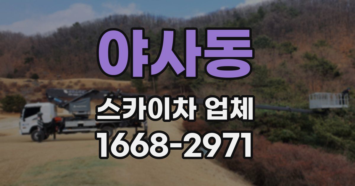 야사동 스카이차 업체