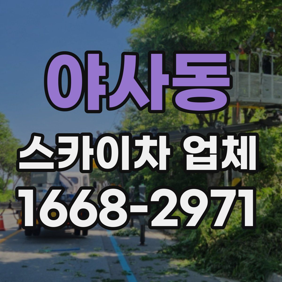야사동 스카이차 업체
