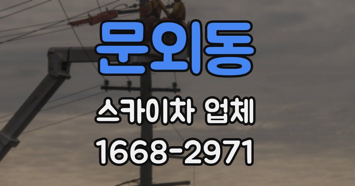 문외동 스카이차 업체