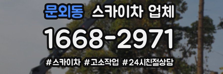 문외동 스카이차 업체