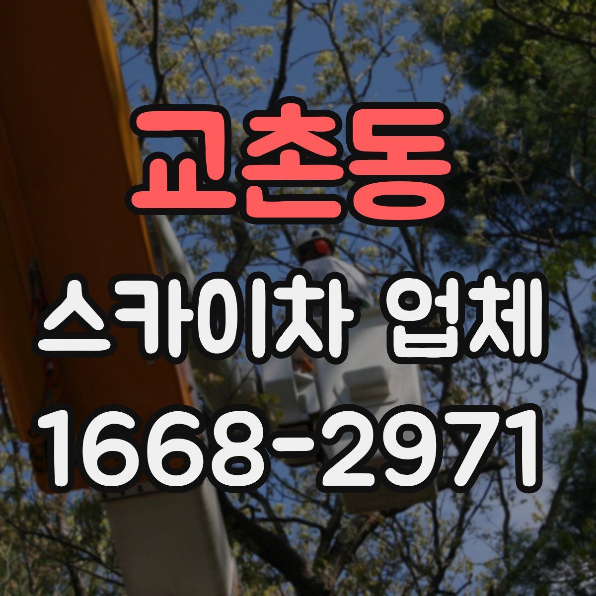 교촌동 스카이차 업체