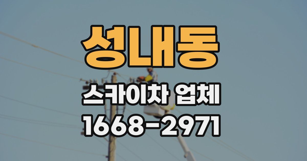 성내동 스카이차 업체