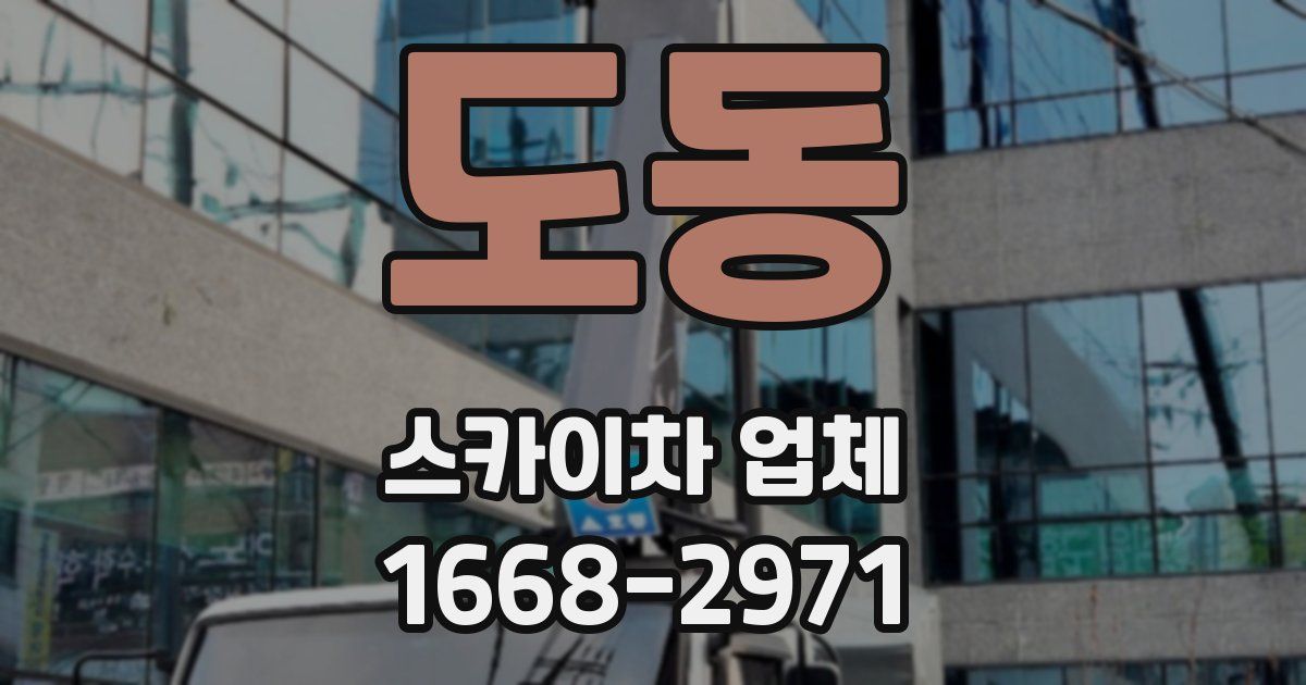 도동 스카이차 업체