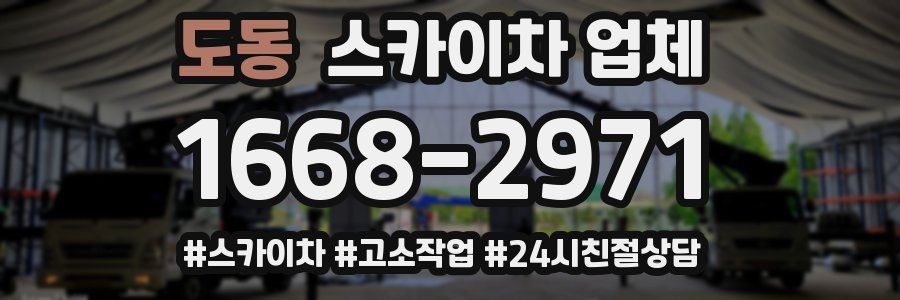 도동 스카이차 업체