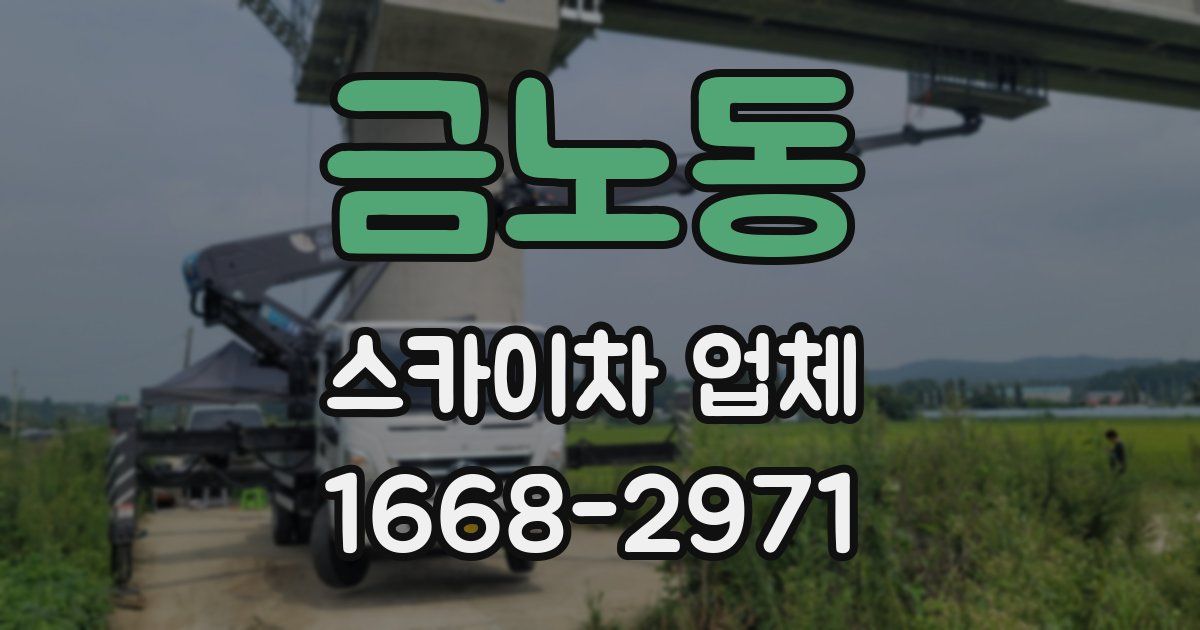 금노동 스카이차 업체