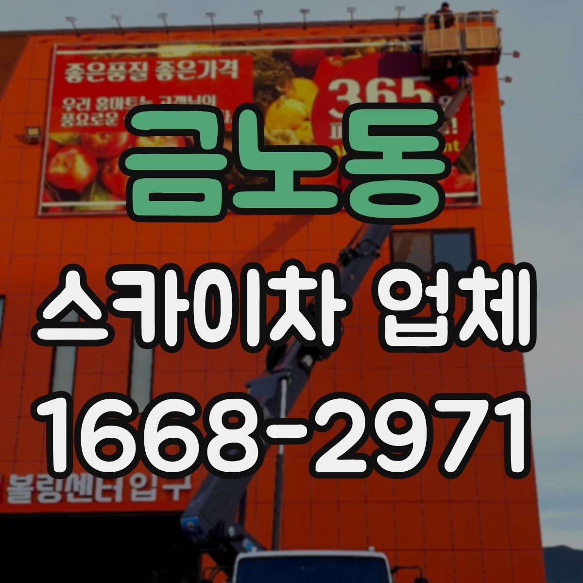 금노동 스카이차 업체