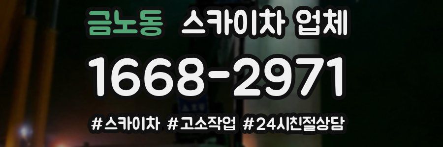 금노동 스카이차 업체