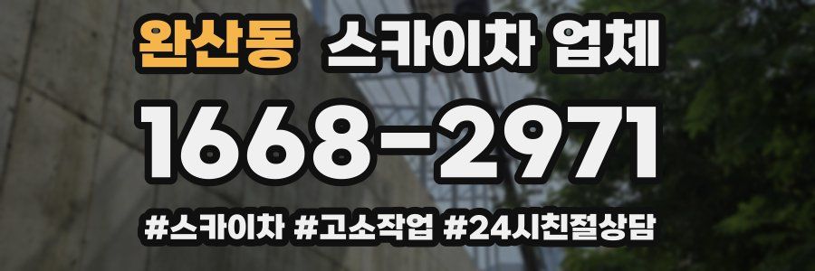 완산동 스카이차 업체