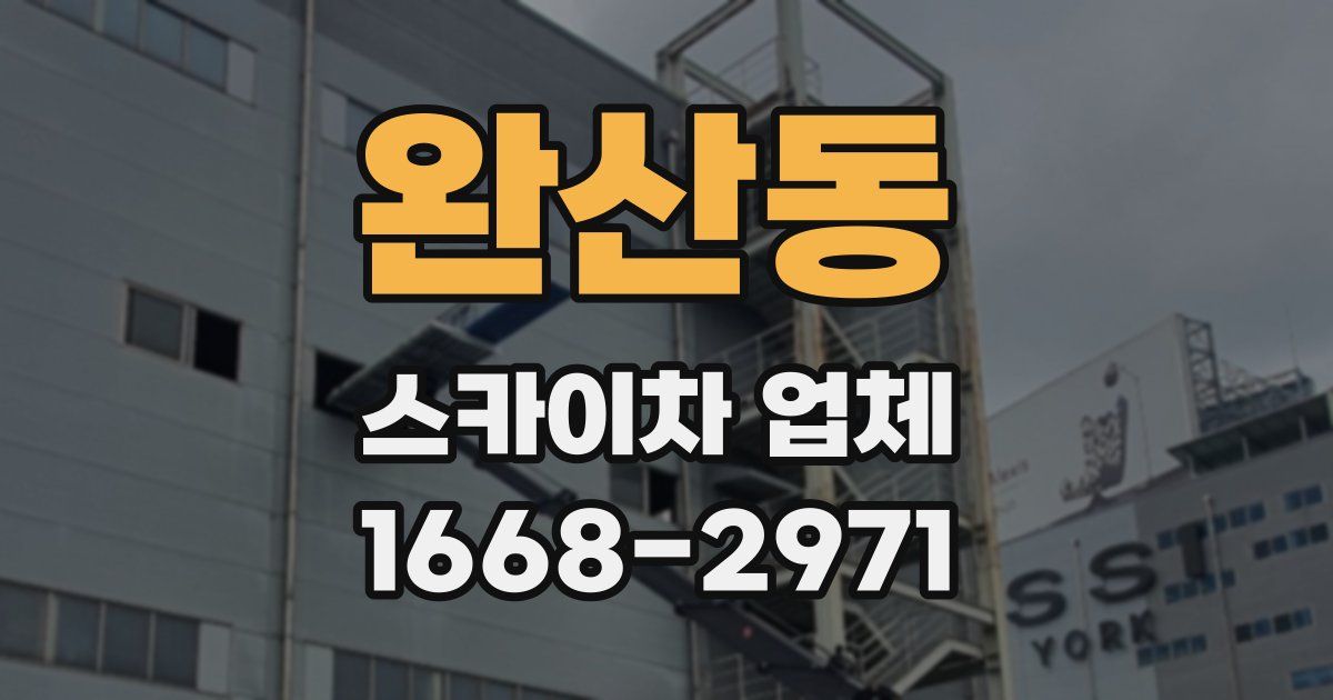 완산동 스카이차 업체