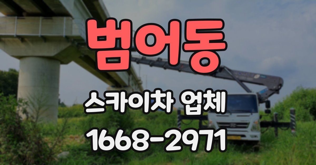 범어동 스카이차 업체