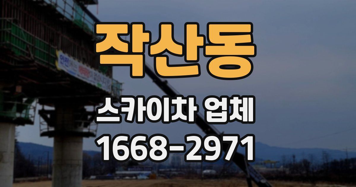 작산동 스카이차 업체