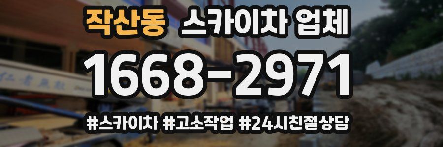작산동 스카이차 업체