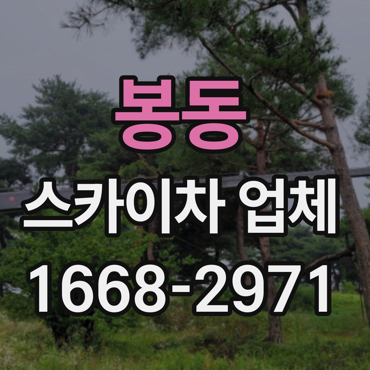봉동 스카이차 업체