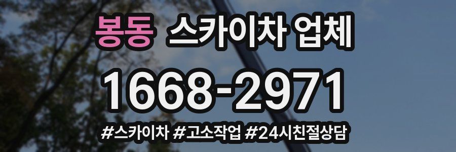 봉동 스카이차 업체