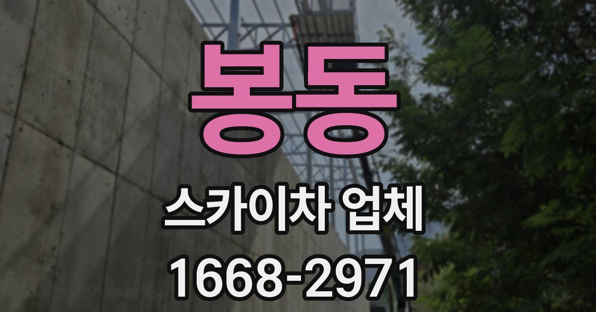 봉동 스카이차 업체