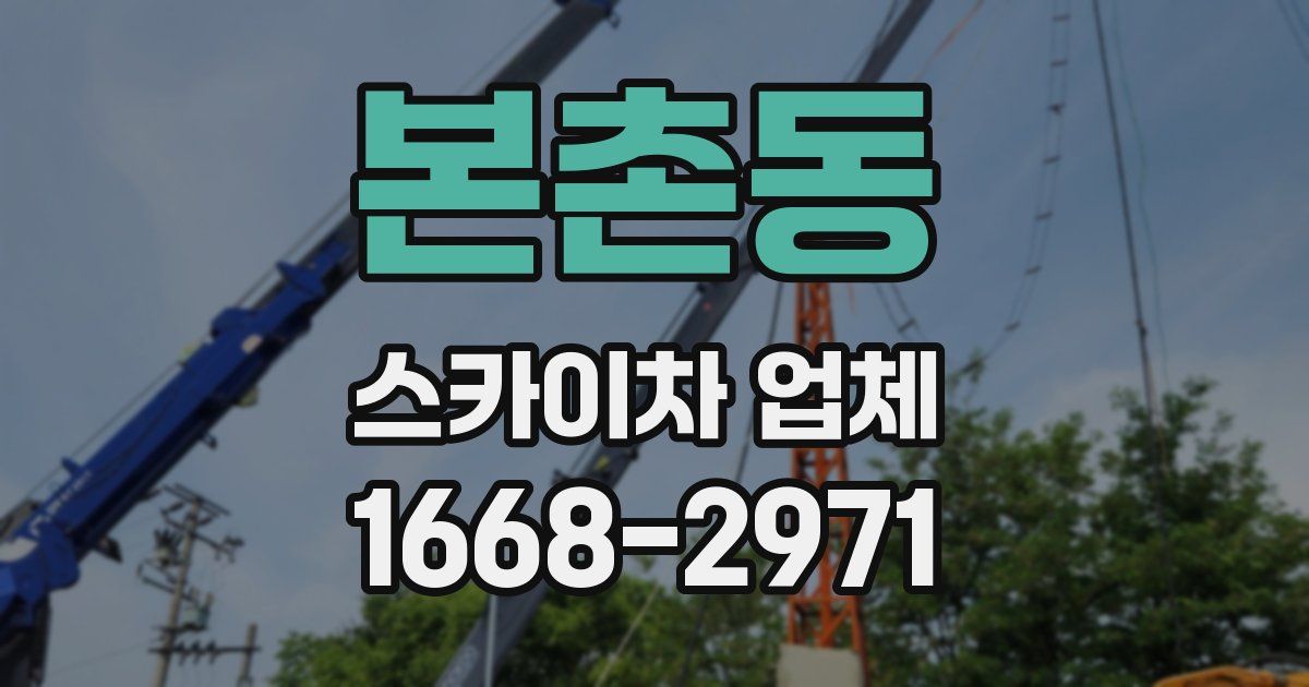 본촌동 스카이차 업체